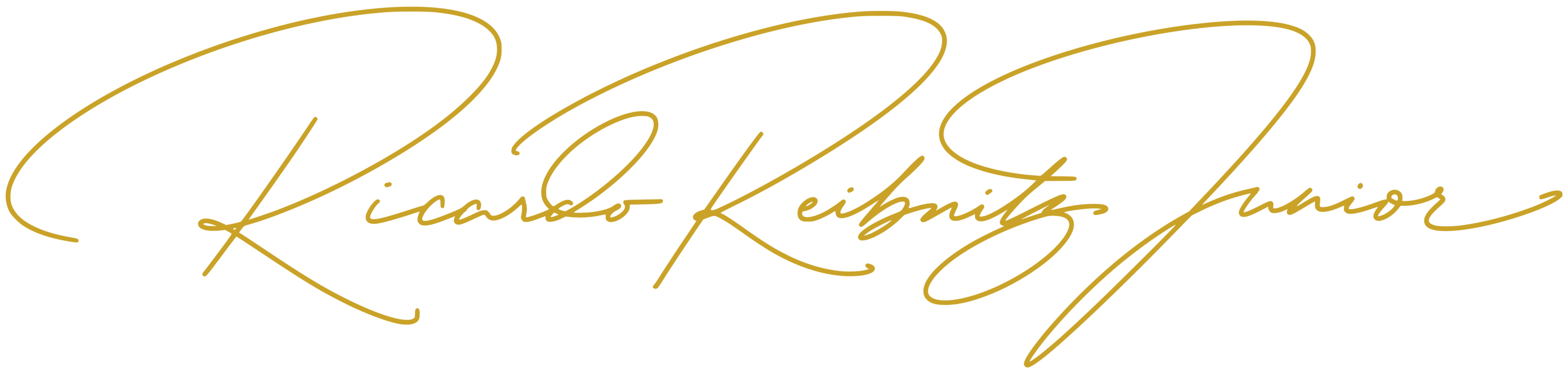 Assinatura de Ricardo Reibnitz Jr.